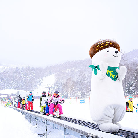 Yakebi Snow Challenge Land 