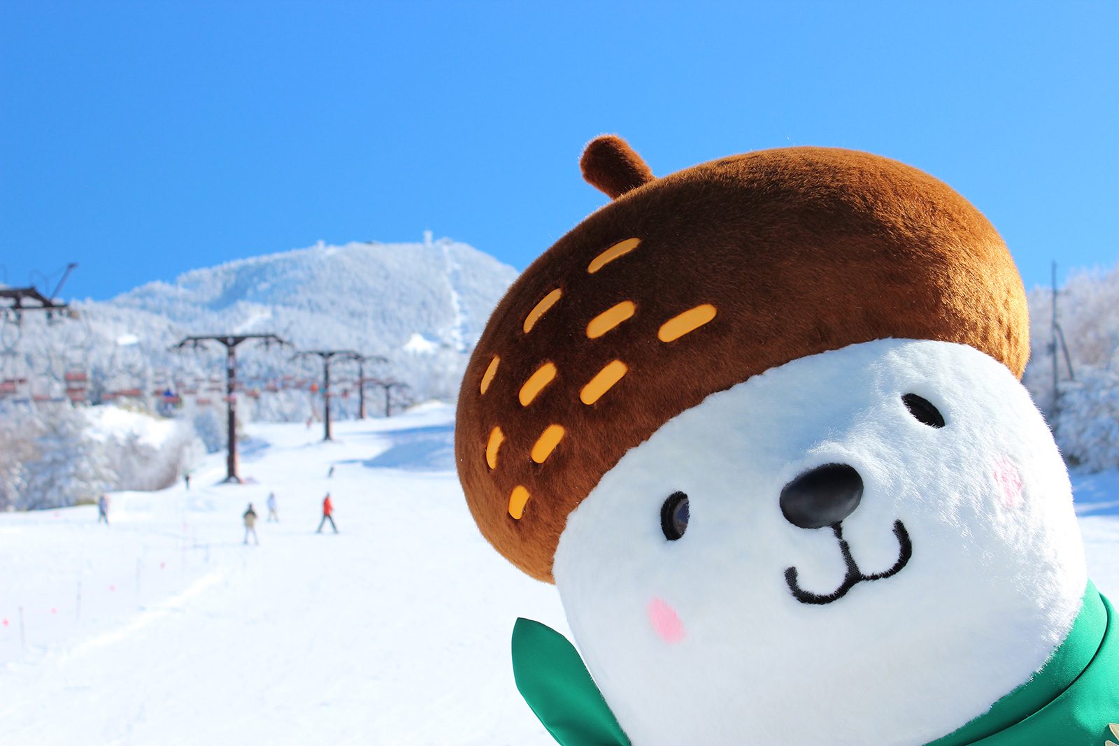 ShigaKogen Mountain Resort